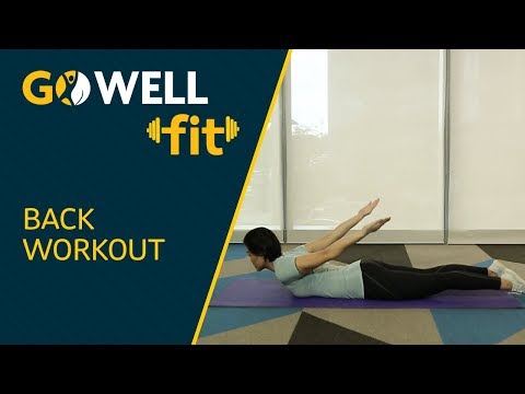 GoWell FIT: Back Workout